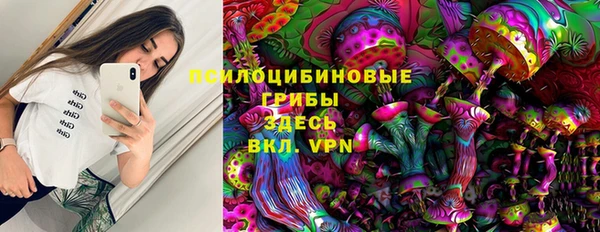 соль ск Арсеньев